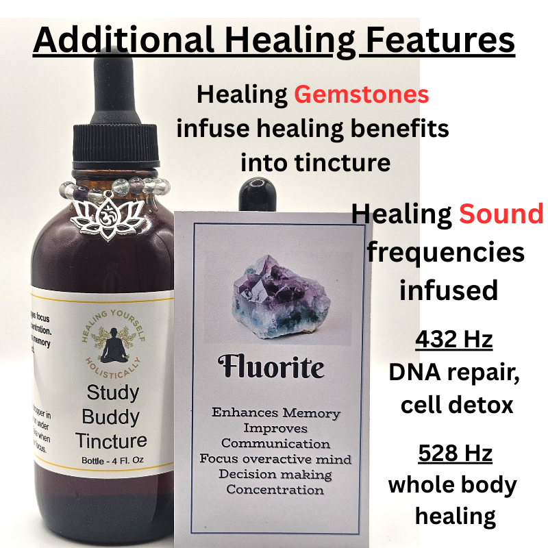 Study Buddy Tincture- Natural focus & concentration. Memory boosting. Infused with sound and genstones.